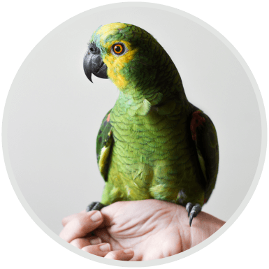https://onpointpetresort.com/wp-content/uploads/2019/07/hero_image_04.png