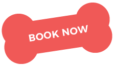 https://onpointpetresort.com/wp-content/uploads/2019/08/text_05.png