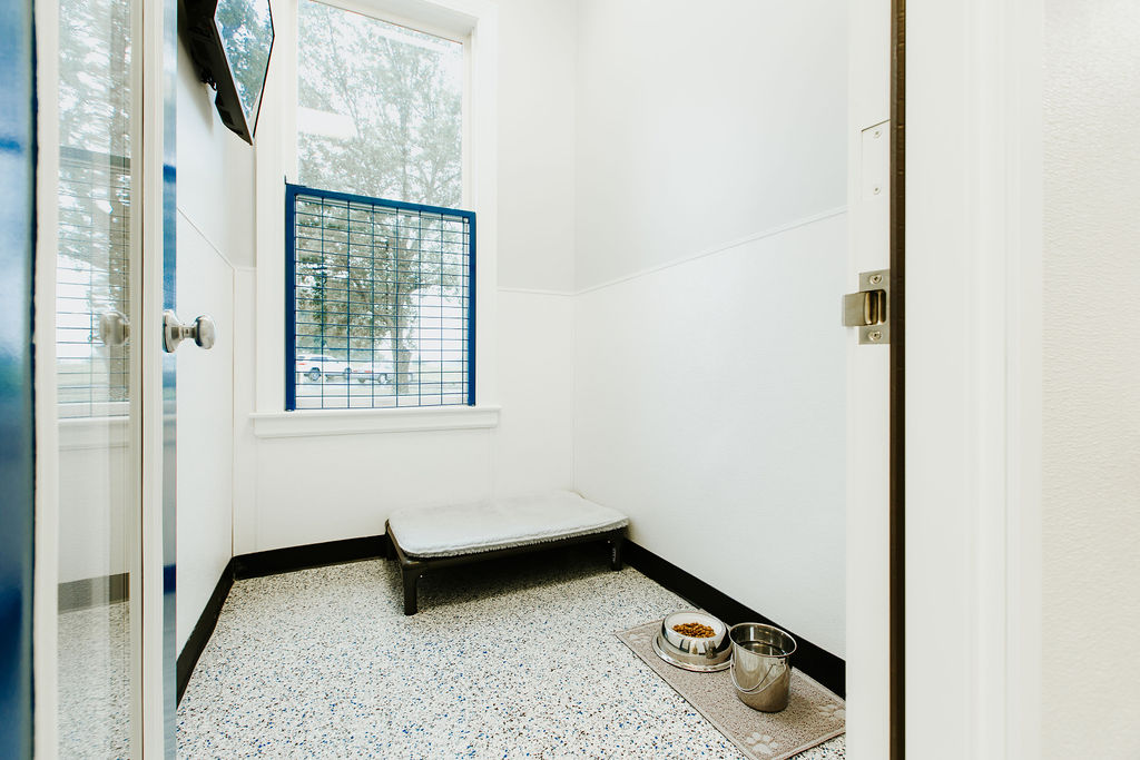 ET5A4800 https://onpointpetresort.com/wp-content/uploads/2020/09/ET5A4800.jpg