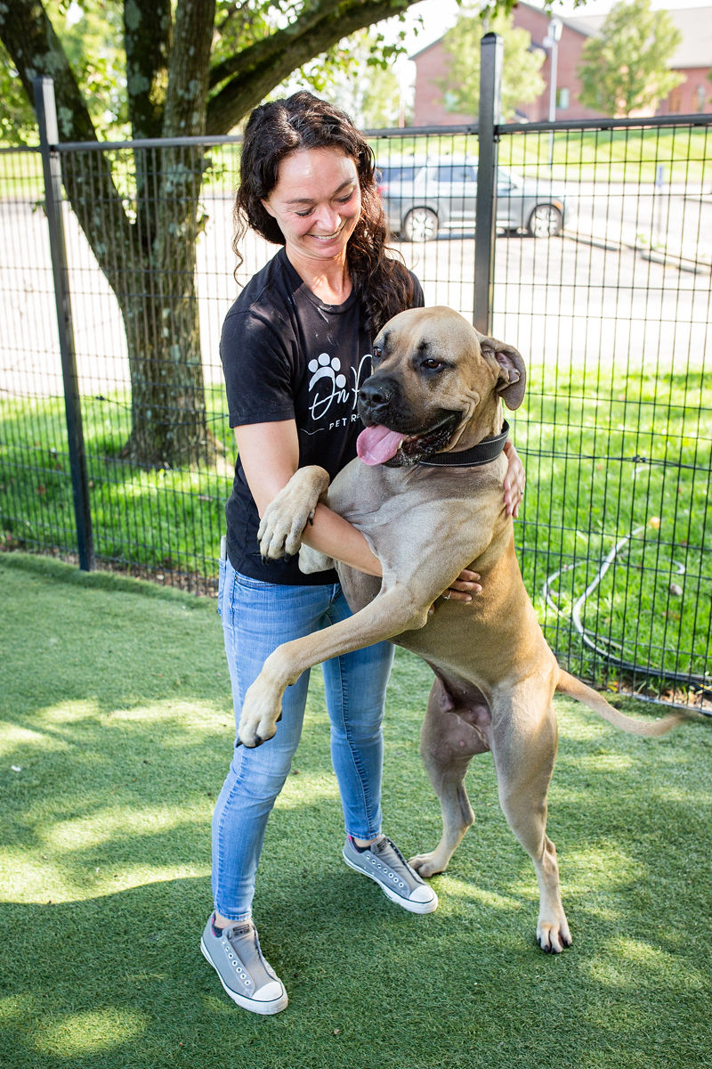 Services 8 https://onpointpetresort.com/wp-content/uploads/2022/09/Services-8.jpg